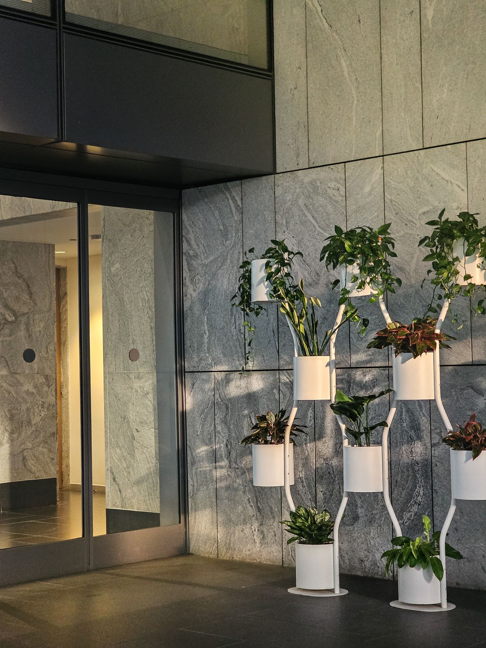 Biophilic design Sri Lanka office