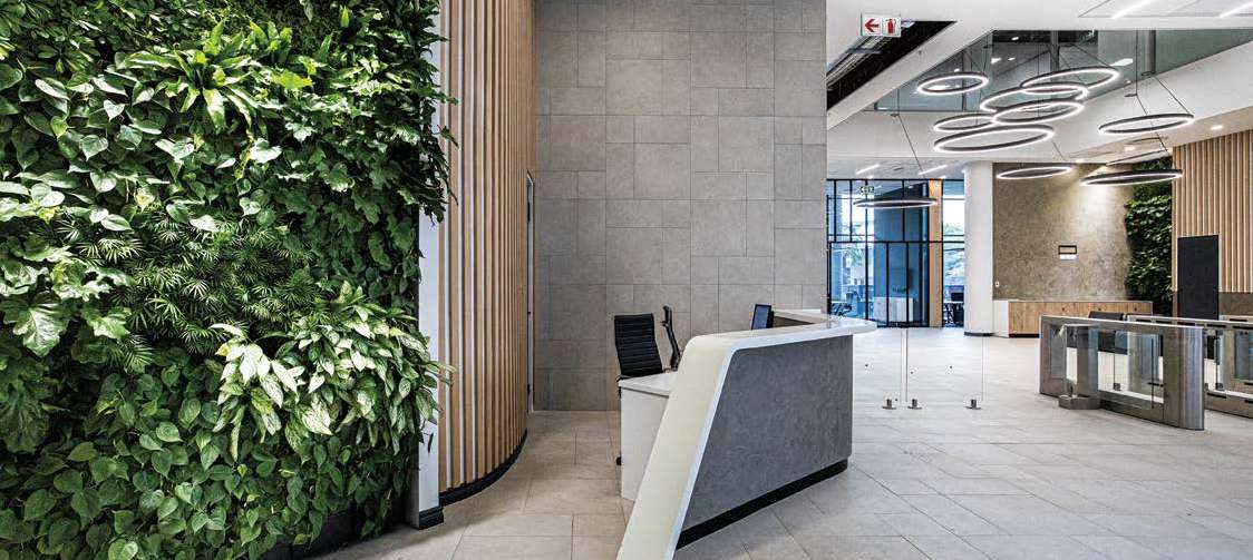 Turnkey Interiors — Life Healthcare reception project